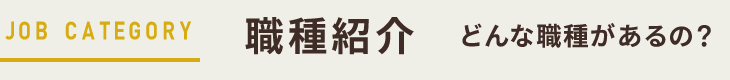 職種紹介｜どんな職種があるの？